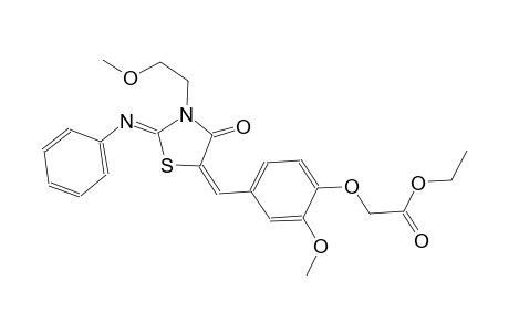 ethyl (2-methoxy-4-{(E)-[(2Z)-3-(2-methoxyethyl)-4-oxo-2-(phenylimino)-1,3-thiazolidin-5-ylidene]methyl}phenoxy)acetate