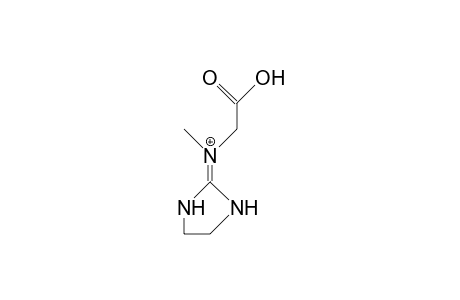 N-(4,5-Dihydro-2-imidazolyl)-sarcosine cation