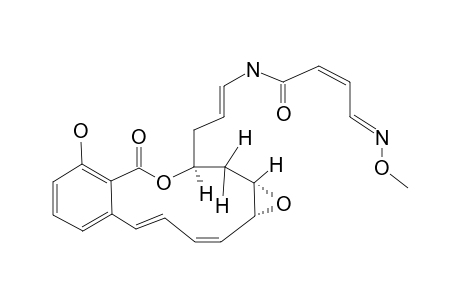 OXIMIDINE-III;CONFORMER-1A