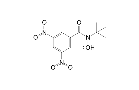 N-(t-Butyl)-N-(3,5-dinitrobenzoyl)nitroxyl