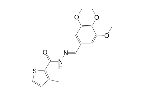 3-methyl-N'-[(E)-(3,4,5-trimethoxyphenyl)methylidene]-2-thiophenecarbohydrazide