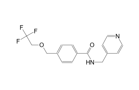 N-(4-pyridinylmethyl)-4-[(2,2,2-trifluoroethoxy)methyl]benzamide