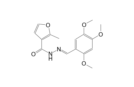 2-methyl-N'-[(E)-(2,4,5-trimethoxyphenyl)methylidene]-3-furohydrazide