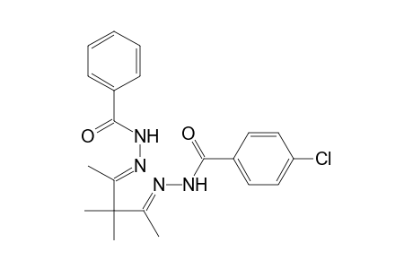 4-Chloranyl-N-[(E)-[(4E)-3,3-dimethyl-4-(phenylcarbonylhydrazinylidene)pentan-2-ylidene]amino]benzamide