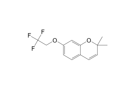 2,2-DIMETHYL-7-(2,2,2-TRIFLUOROETHOXY)-2H-CHROMENE