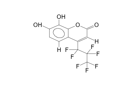 4-HEPTAFLUOROPROPYL-7,8-DIHYDROXYCOUMARIN