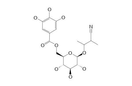 SUPINANITRILOSIDE-D;2-METHYL-3-HYDROXY-BUTANENITRILE-BETA-D-GLUCOPYRANOSIDE-6'-O-GALLATE