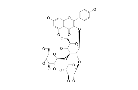 KAEMPFEROL-3-O-[BETA-XYLOPYRANOSYL-(1->2)]-[BETA-GLUCOPYRANOSYL-(1->3)]-BETA-GLUCOPYRANOSIDE