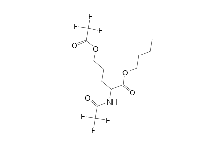 Pentanoic acid, 2-[(trifluoroacetyl)amino]-5-[(trifluoroacetyl)oxy]-, butyl ester