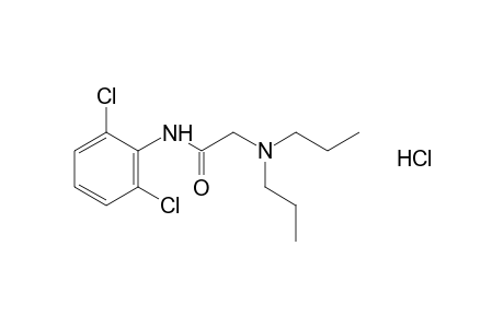 2',6'-dichloro-2-(dipropylamino)acetanilide, hydrochloride