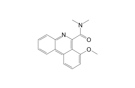 7-Methoxy-N,N-dimethylphenanthridine-6-carboxamide