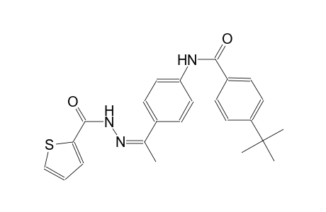 4-tert-butyl-N-{4-[(1Z)-N-(2-thienylcarbonyl)ethanehydrazonoyl]phenyl}benzamide