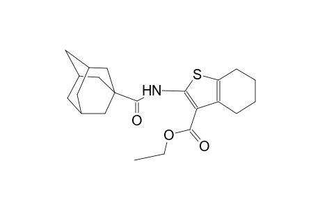 ethyl 2-[(1-adamantylcarbonyl)amino]-4,5,6,7-tetrahydro-1-benzothiophene-3-carboxylate