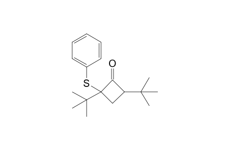 2,4-ditert-butyl-2-(phenylthio)-1-cyclobutanone