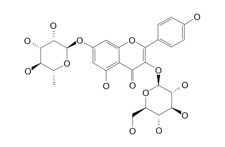 3-O-BETA-D-GLUCOPYRANOSYL-7-O-ALPHA-L-RHAMNOPYRANOSIDE-KAEMPFEROL
