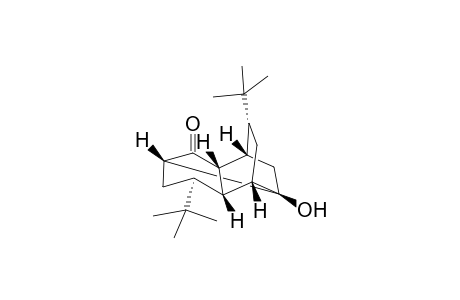 (1R*,2R*,4R*,6S*,7S*,8S*,9R*,11R*)-6,11-Di-t-butyl-9-hydroxytetracyclo[6.2.2.0(2,7).0(4,9)]dodecan-3-one