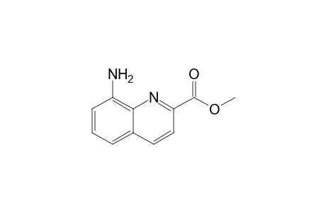 Methyl 8-aminoquinoline-2-carboxylate