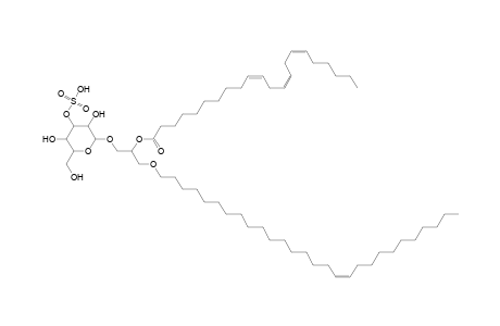 SMGDG O-28:1_22:3