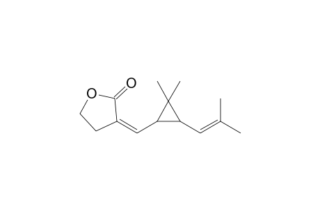 3-[(2',2'-Dimethyl-3'-isobutenylcyclopropyl)methylene]-2-oxotetrahydrofuran