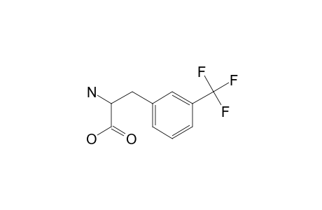 3-(Trifluoromethyl)phenylalanine