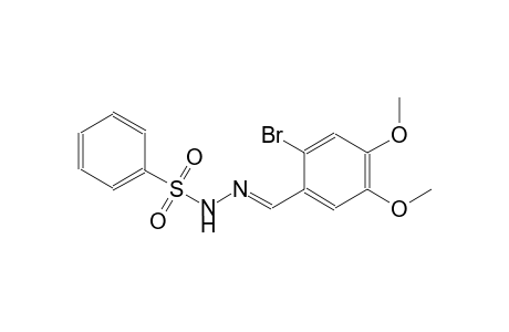 N'-[(E)-(2-bromo-4,5-dimethoxyphenyl)methylidene]benzenesulfonohydrazide