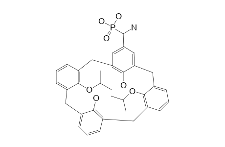 5-(AMINODIHYDROXYPHOSPHONYLMETHYL)-25,27-DIPROPOXYCALIX-[4]-ARENE