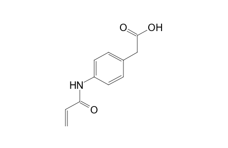 (p-acrylamidophenyl)acetic acid