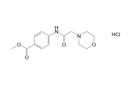 p-(2-morpholinoacetamido)benzoic acid, methyl ester, hydrochloride