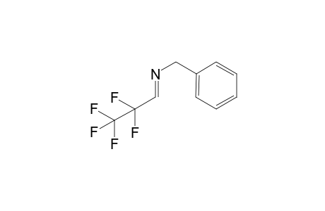 (E)-N-(2,2,3,3,3-pentafluoropropylidene)-1-phenylmethanamine