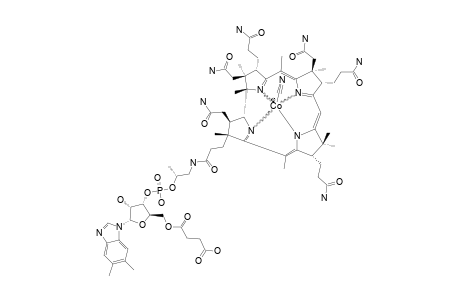 CO(BETA)-CYANO-O-5R-SUCCINYL-COBALAMIN