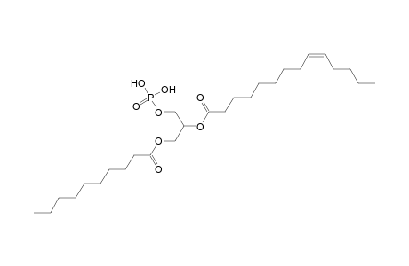 PA 10:0_14:1