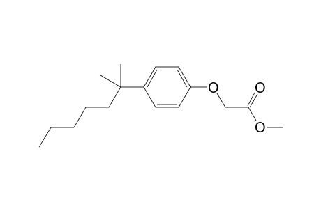 2-[4-(1,1-dimethylhexyl)phenoxy]acetic acid methyl ester