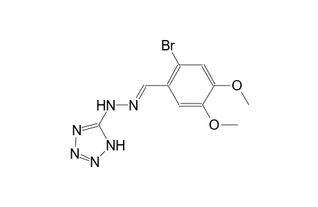 2-bromo-4,5-dimethoxybenzaldehyde 1H-tetraazol-5-ylhydrazone