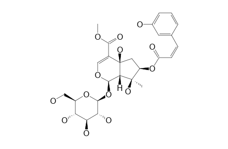 DURANTERECTOSIDE_C