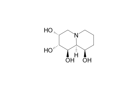 (1R,2R,3R,9R,9aS)-2,3,4,6,7,8,9,9a-octahydro-1H-quinolizine-1,2,3,9-tetrol