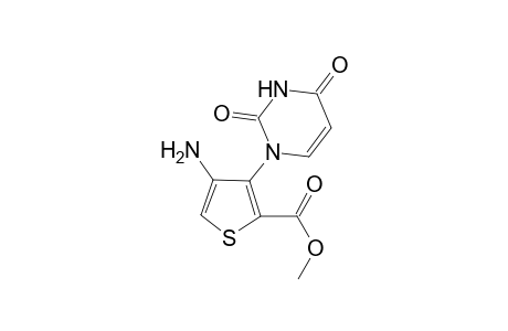 Methyl 4-Amino-3-(1',2',3',4'-tetrahydro-2',4'-dioxopyrimidin-1'-yl)thiophene-2-carboxylate