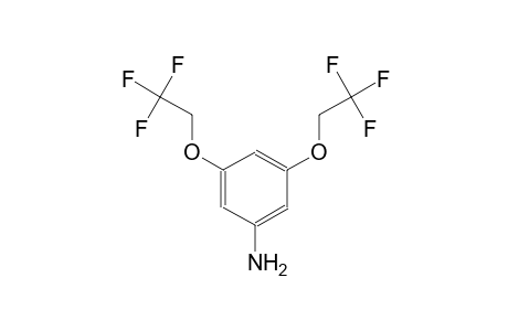 Benzenamine, 3,5-bis(2,2,2-trifluoroethoxy)-