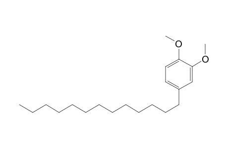 1,2-Dimethoxy-4-(tridec-1-yl)benzene