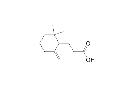 3-(2,2-dimethyl-6-methylenecyclohexyl)propanoic acid