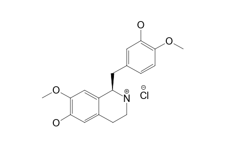 (S)-[1-(13)C]-NORPROTOSINOMENINE-HYDROCHLORIDE