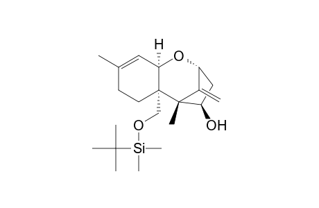 Trichotheca-9,12-dien-4-ol, 15-[[(1,1-dimethylethyl)dimethylsilyl]oxy]-, (4.beta.)-(.+-.)-