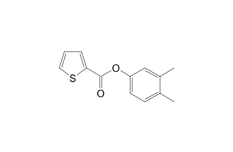 2-Thiophenecarboxylic acid, 3,4-dimethylphenyl ester