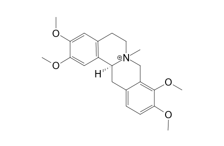 N-METHYL-TETRAHYDRO-PALMATINE