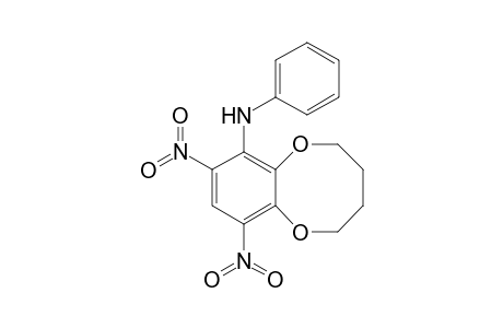 (8,10-dinitro-2,3,4,5-tetrahydro-1,6-benzodioxocin-7-yl)-phenyl-amine