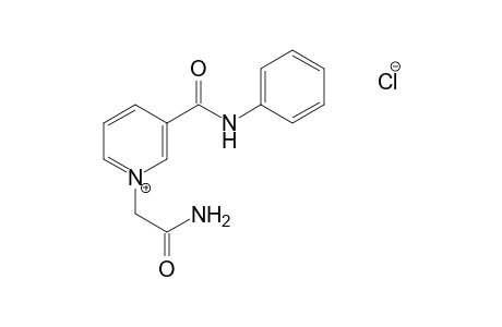1-(carbamoylmethyl)-3-(phenylcarbamoyl)pyridinium chloride