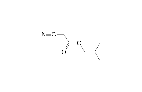 cyanoacetic acid, isobutyl ester