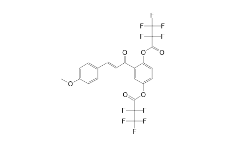 2',5'-Dihydroxy-4-methoxychalcone, bis(pentafluoropropionate)