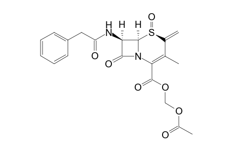 Acetoxymethyl 7-(.beta.-phenylacetamido)-2-methylene-3-methyl-3-cephem-4-catboxylate - 1-Oxide