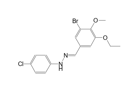 3-bromo-5-ethoxy-4-methoxybenzaldehyde (4-chlorophenyl)hydrazone