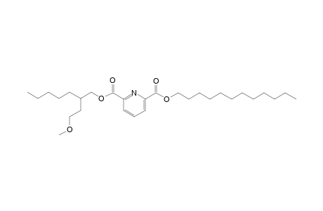 2,6-Pyridinedicarboxylic acid, dodecyl 2-(2-methoxyethyl)heptyl ester